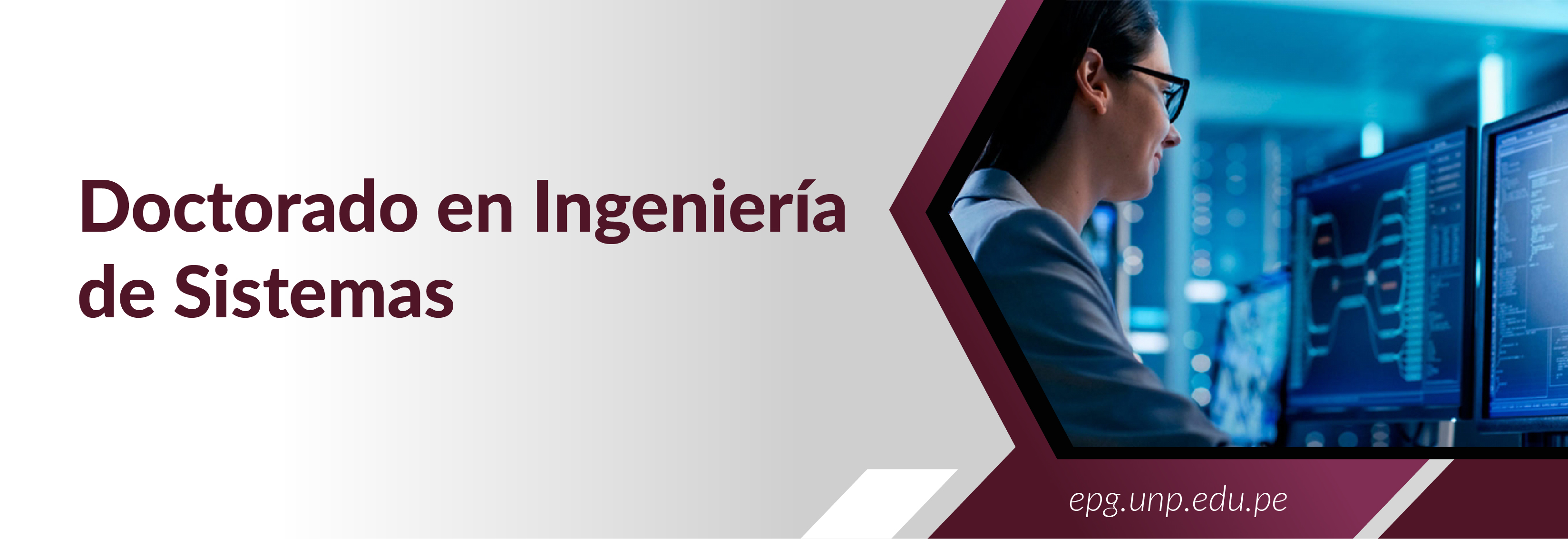 Doctorado en Ingeniería de Sistemas