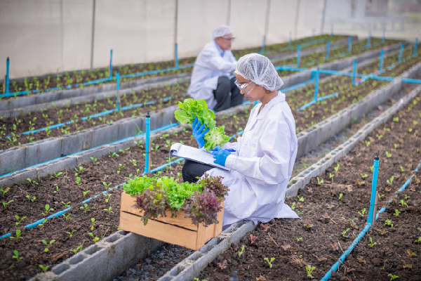 Doctorado en Ciencias Agrarias